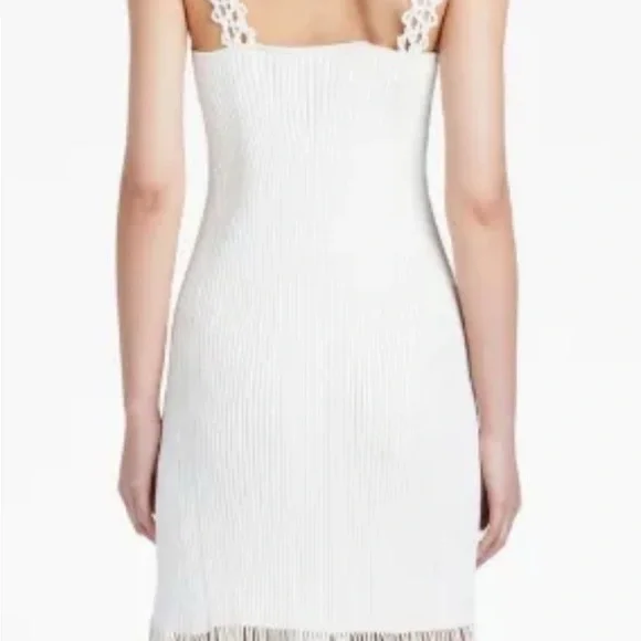 Brand New Proenza Schouler Embroidered Knit Dress Mini